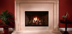 Reveal Gas Fireplace For Sale